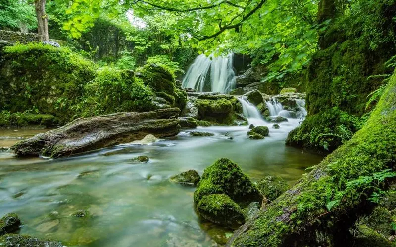 高效全自动高标准